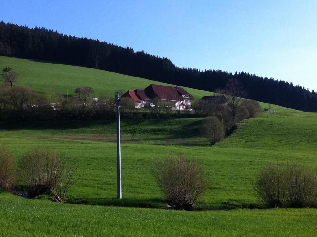 Gasthof Richebaechli Elzach Extérieur photo