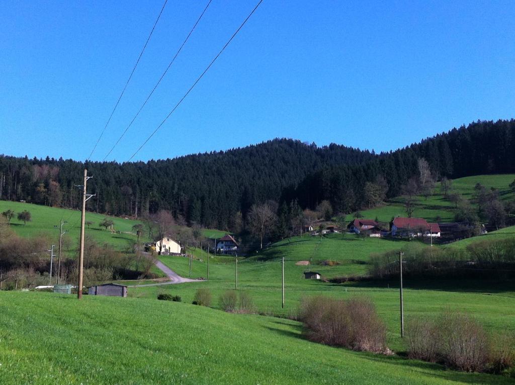 Gasthof Richebaechli Elzach Extérieur photo