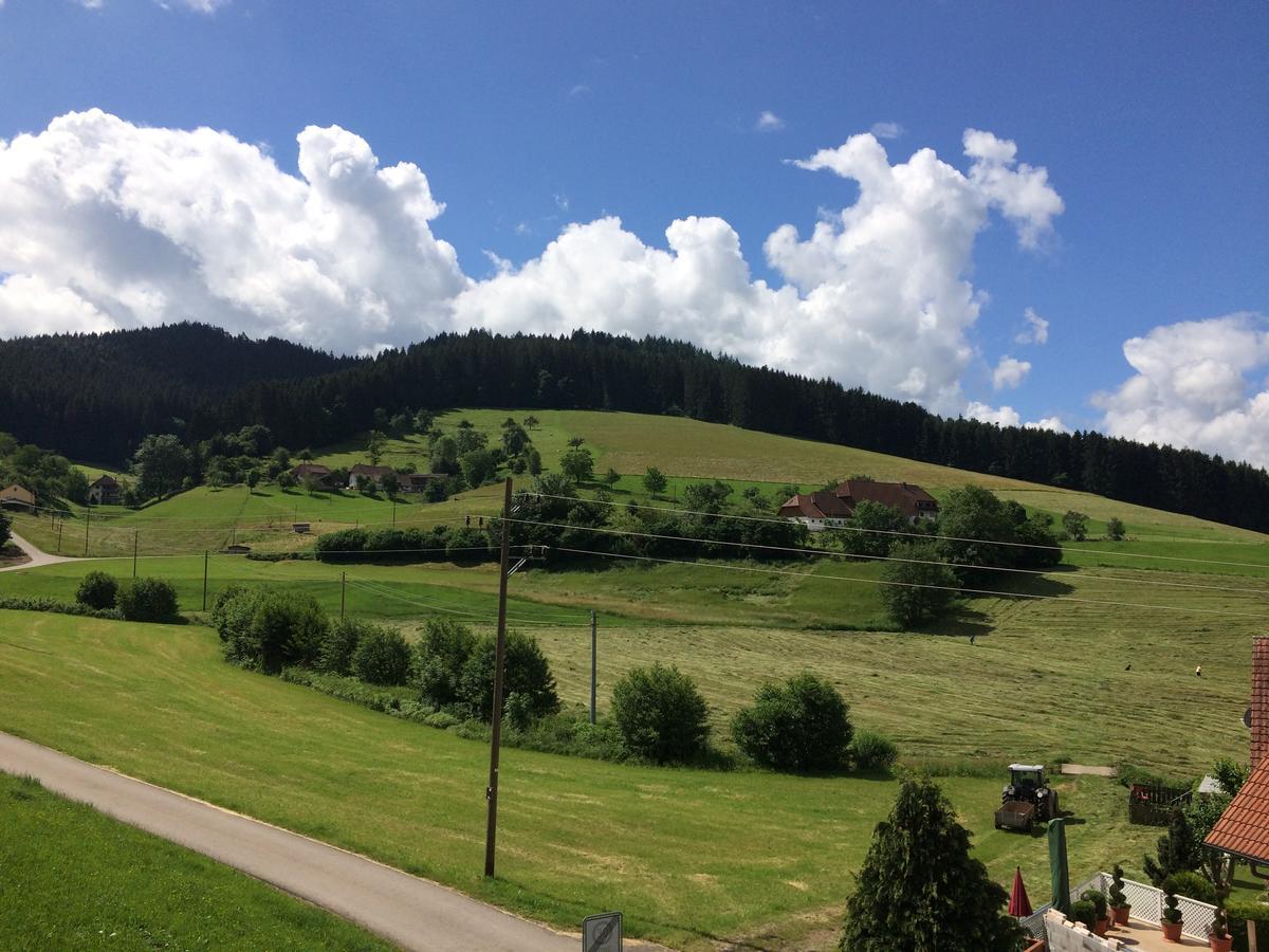 Gasthof Richebaechli Elzach Extérieur photo